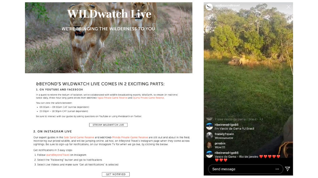 screenshot of &Beyond's website detailing how to watch their safaris online and screenshot of their instagram live story